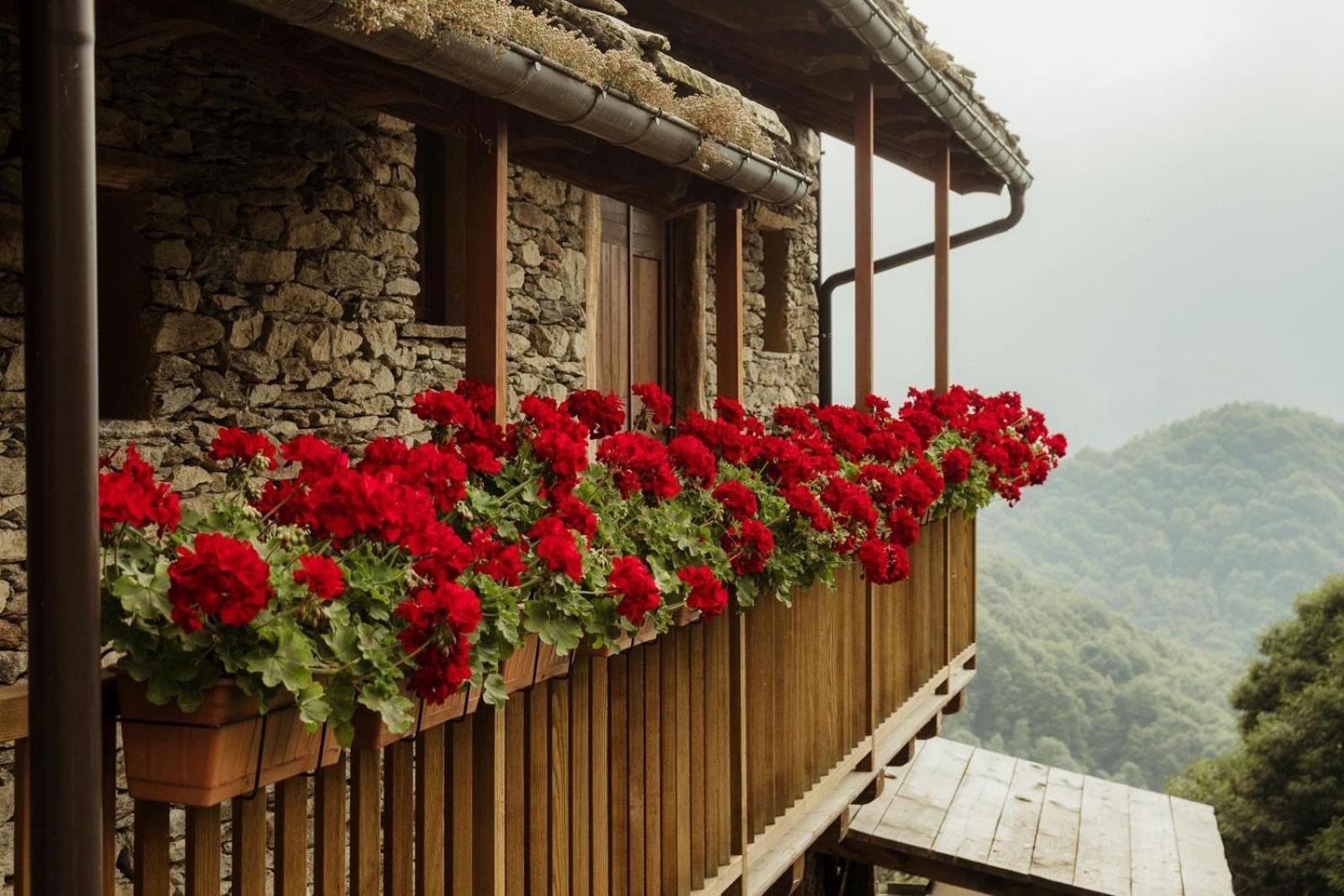 Rifugio Alpino Baudinet - Trek&Relax Bed & Breakfast Chiusa di Pesio Ngoại thất bức ảnh